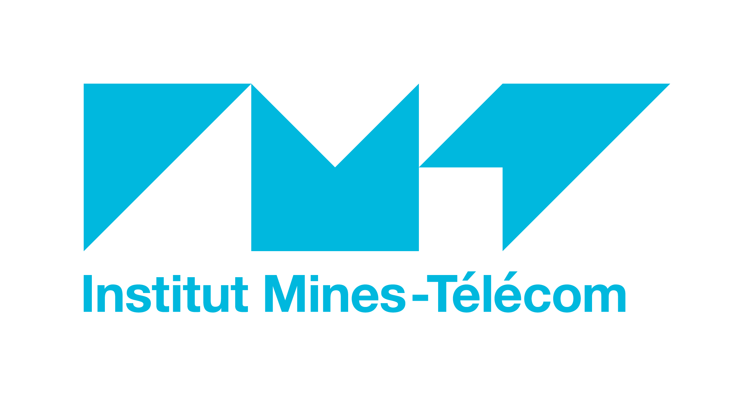 Logo de l'IMT